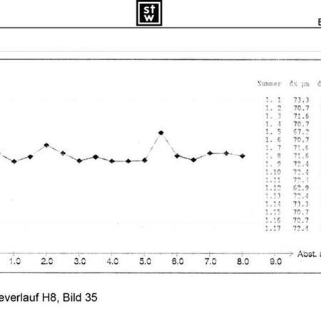 Schliffe Schwingungsversuch